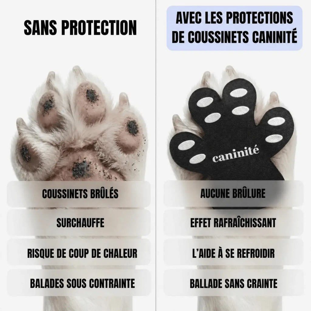 Caninité | Protections de Coussinets | Anti Coup de Chaleur